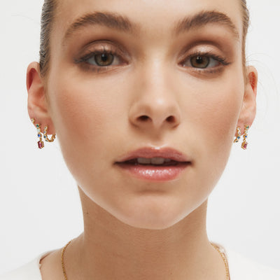 Swing Sterling Silver Earrings - Multicolour