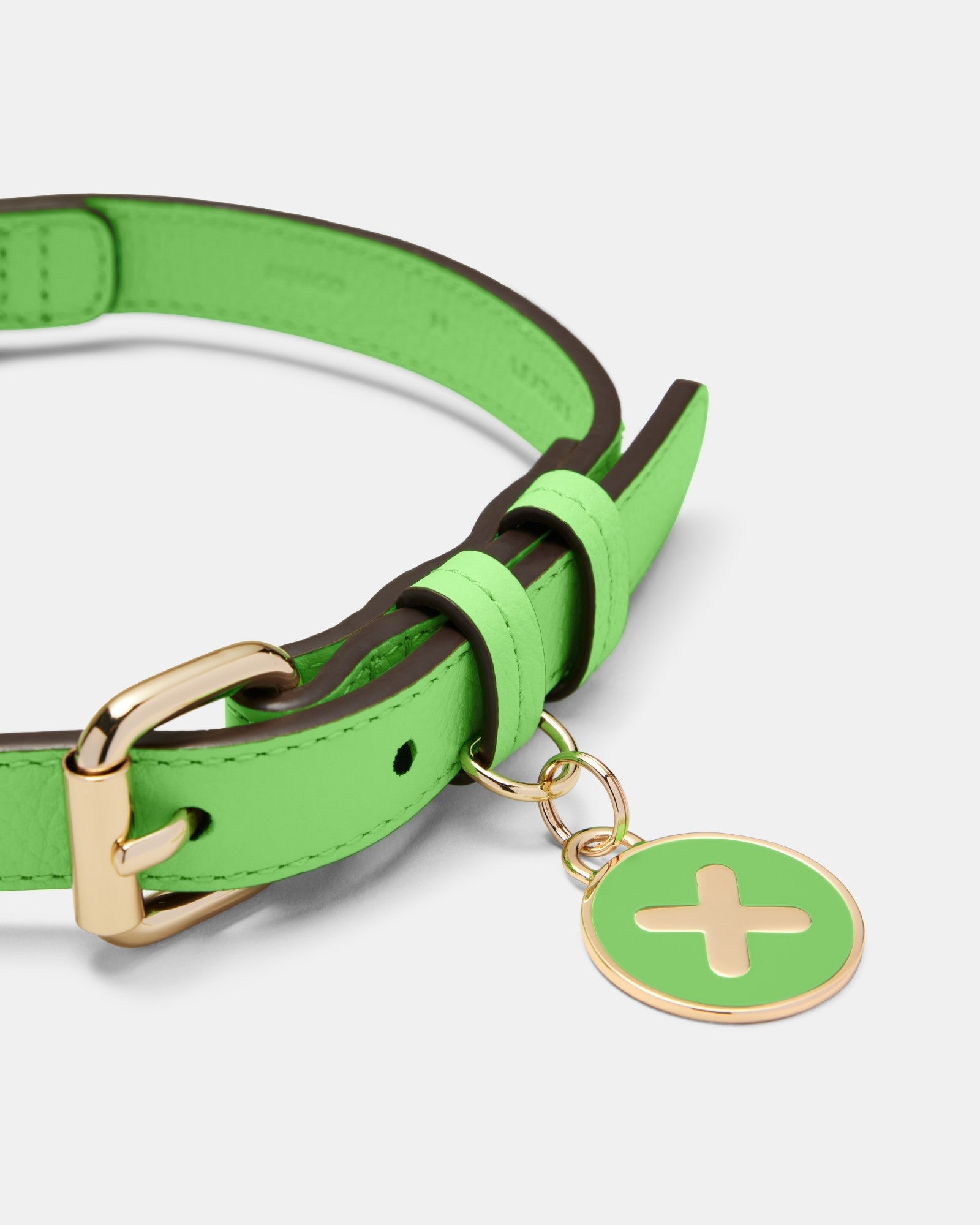 Pooch Medium Collar - Spiced Apple