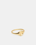 Lune Signet Ring - Gold