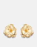 Eternal Beauty Stud Earrings - Buttermilk