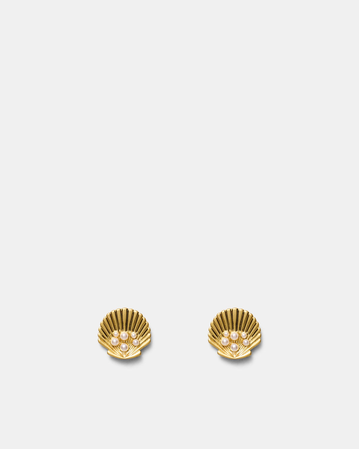 Shell Stud Earrings - Gold