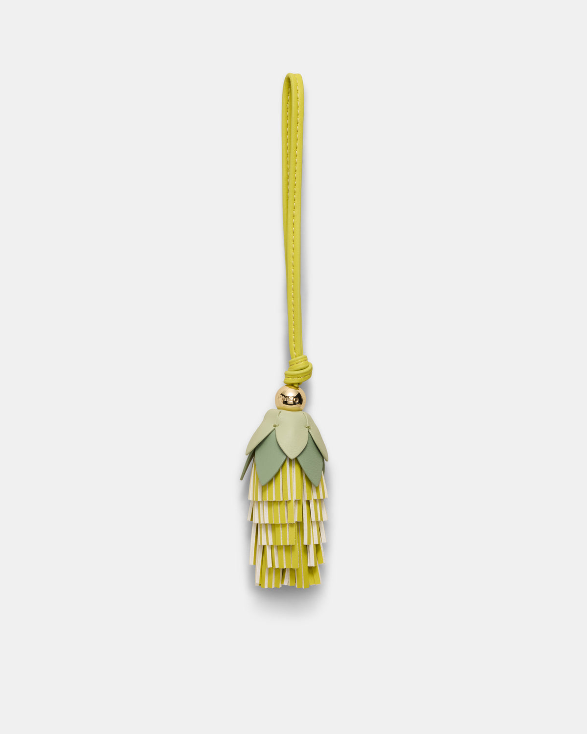 Banksia Charm