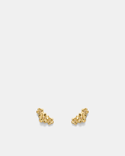 Garden Climber Stud Earrings - Gold