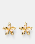 Oleander Stud