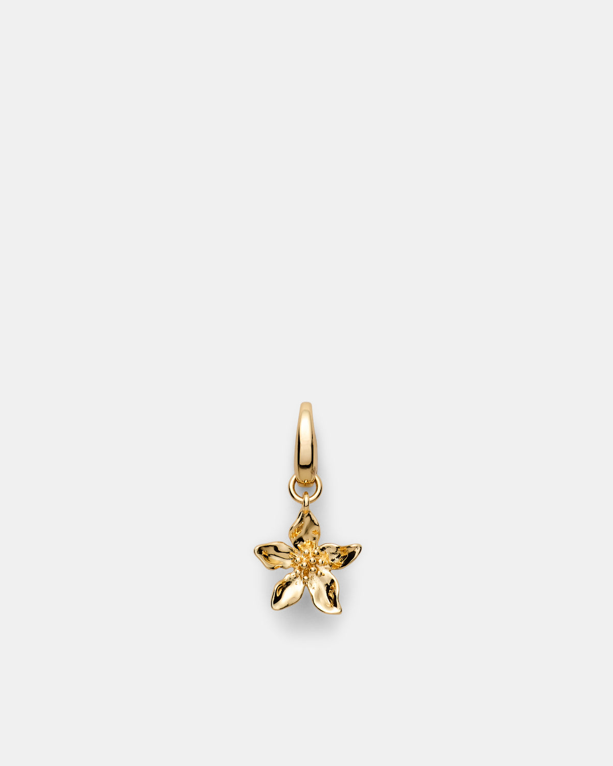 Oleander Charm