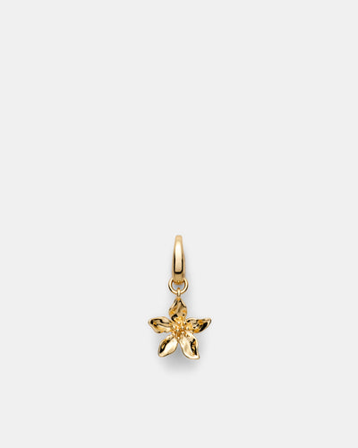 Oleander Charm